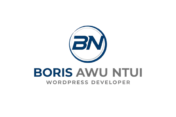 modern logo design for boris awu ntui removebg preview