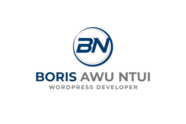 modern logo design for boris awu ntui removebg preview